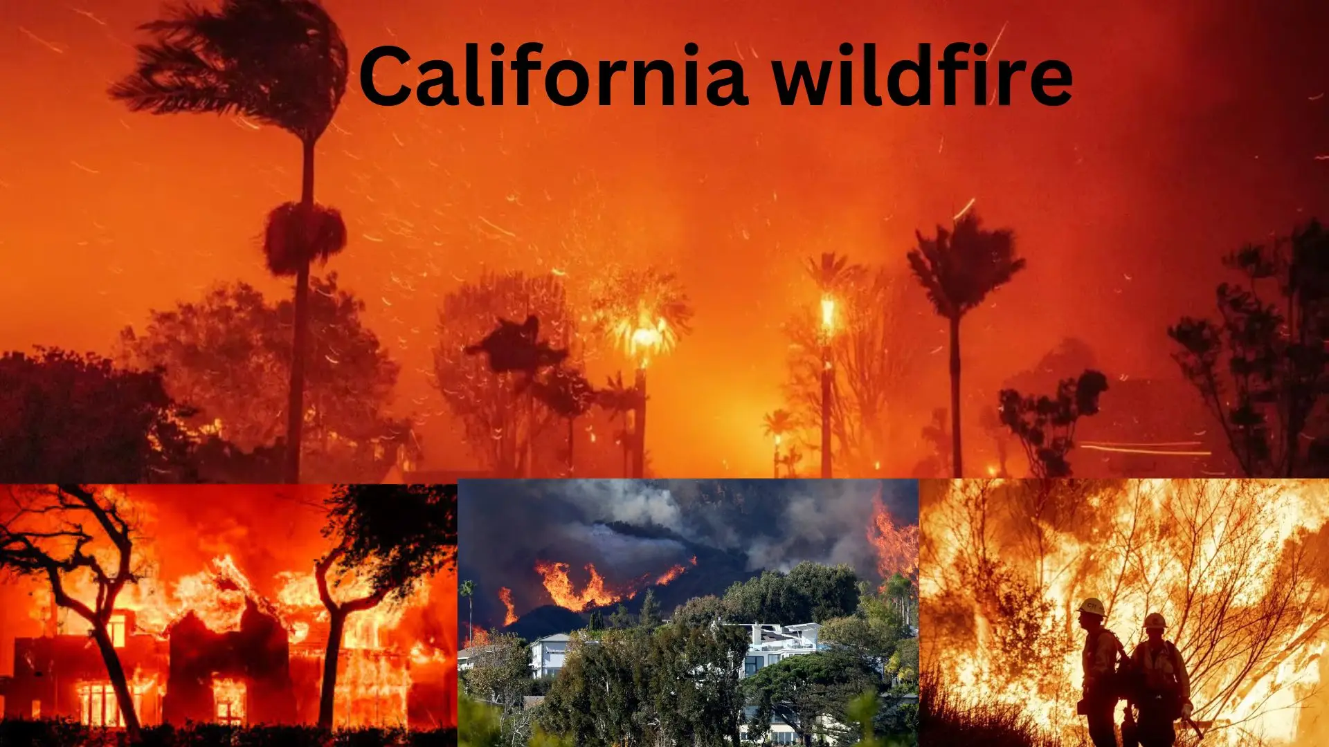 <a href='https://bengalbeat.today/los-angeles-wildfire-a-city-in-flames-lives-in-peril/'>Los Angeles Wildfire: A City in Flames, Lives in Peril</a>